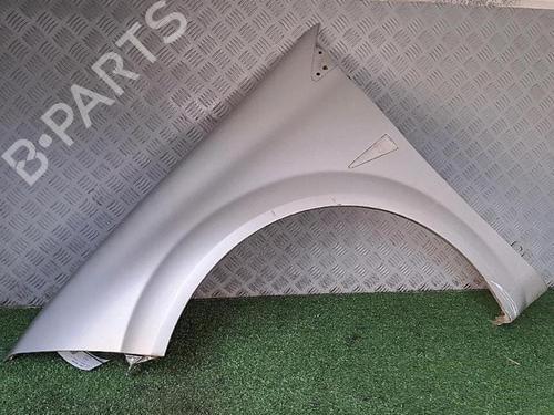 Left front fenders RENAULT MEGANE II (BM0/1_, CM0/1_) 1.5 dCi (BM1F, CM1F) | BP30076770C41