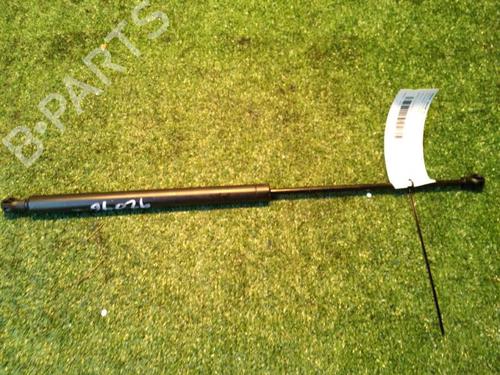 Tailgate lift support PEUGEOT 206 Hatchback (2A/C) 1.9 D | BP30072733C138 