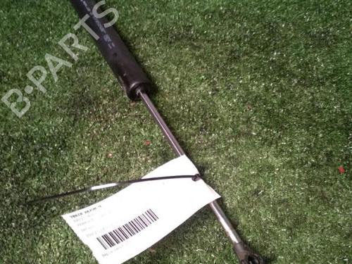 Tailgate lift support RENAULT VEL SATIS (BJ0_) 2.0 dCi (BJ03, BJ0B) | BP30072407C138 