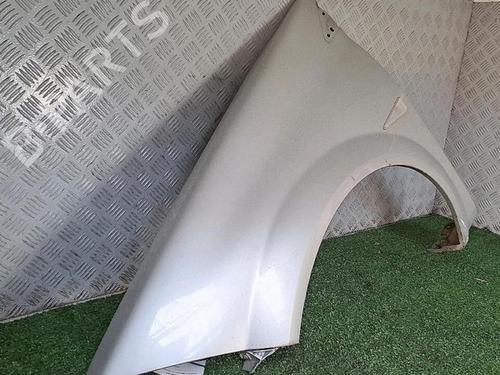Left front fenders RENAULT MEGANE II (BM0/1_, CM0/1_) 1.5 dCi (BM1F, CM1F) | BP30076770C41