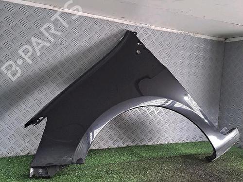 Used Left front fenders RENAULT CLIO III (BR0/1, CR0/1) 1.5 dCi (C/BR0G, C/BR1G) (68 hp) 30063522