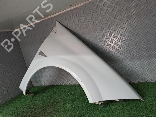 Right front fenders RENAULT MEGANE II (BM0/1_, CM0/1_) 1.5 dCi (BM02, BM13, BM2A, CM02, CM13) | BP20507551C42 