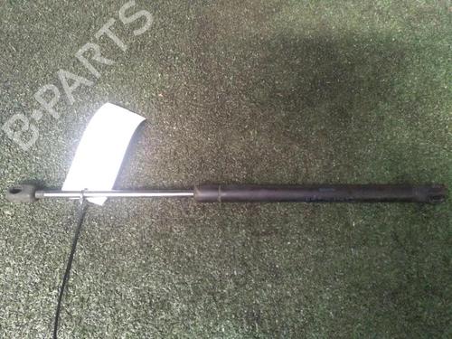 Tailgate lift support RENAULT MEGANE II (BM0/1_, CM0/1_) 1.9 dCi (BM0G, CM0G) | BP30073662C138