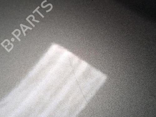 Left front fenders RENAULT SCÉNIC III (JZ0/1_) 1.5 dCi | BP30076440C41