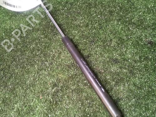 Used Tailgate lift support RENAULT CLIO III (BR0/1, CR0/1) 1.4 16V (98 hp) 17157141