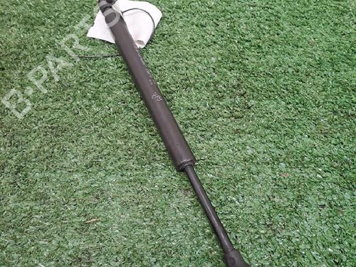 Used Tailgate lift support CITROËN C3 Pluriel (HB_) 1.4 HDi (68 hp) 25750436