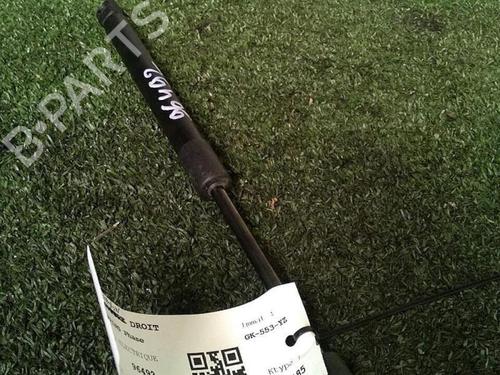 tailgate-lift-support-dacia-spring-2020-30077330 main image