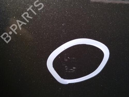 Drzwi przednie lewe BMW X5 (E53) 3.0 d | BP29950659C2