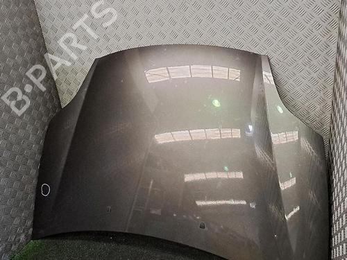 Used Hood FIAT BRAVO II (198_) 1.6 D Multijet (198AXH1B) (105 hp) 30064561
