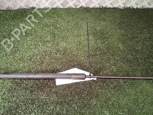 Used Tailgate lift support SEAT IBIZA IV (6J5, 6P1) 1.6 TDI (90 hp) 29952910