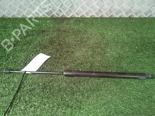 Tailgate lift support RENAULT SCÉNIC III (JZ0/1_) 1.9 dCi (JZ0J, JZ1J, JZ1K, JZ1S) | BP29951884C138