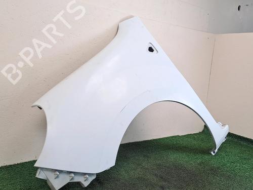 Left front fenders RENAULT KANGOO Express (FW0/1_)  | BP29017845C41 