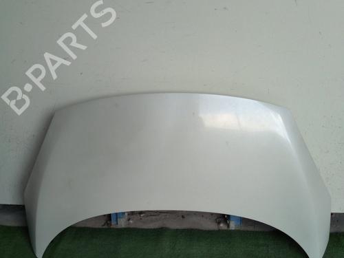 Panser RENAULT SCÉNIC III (JZ0/1_) 1.6 dCi (JZ00, JZ12) (130 hp) 30700528