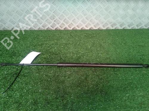 Tailgate lift support RENAULT GRAND SCÉNIC III (JZ0/1_) 1.9 dCi (JZ0J, JZ0N, JZ1K, JZ1S) | BP30073557C138