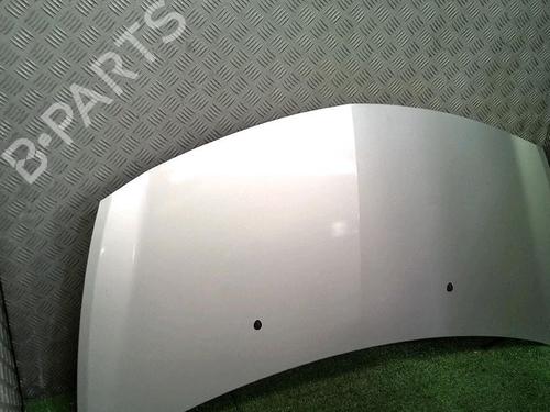 Hood RENAULT CLIO III (BR0/1, CR0/1) 1.5 dCi (BR17, CR17) | BP30076396C1