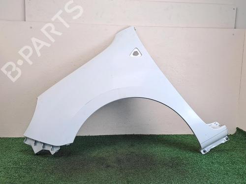 Used Left front fenders RENAULT KANGOO Express (FW0/1_) [2008-2025]  29017845