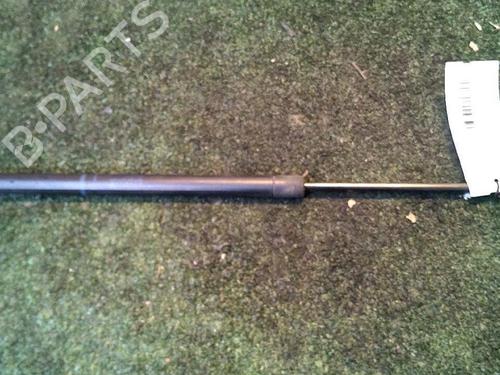 Tailgate lift support RENAULT SCÉNIC II (JM0/1_) 1.5 dCi (JM1E, JM16) | BP30073294C138