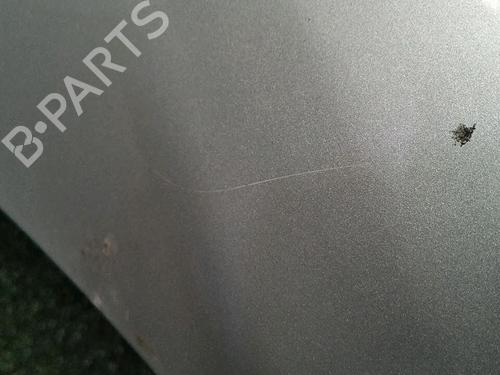 Hood RENAULT GRAND SCÉNIC III (JZ0/1_) 1.9 dCi (JZ0J, JZ0N, JZ1K, JZ1S) | BP30076412C1 