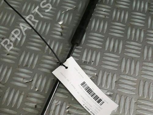 Tailgate lift support OPEL MERIVA A MPV (X03) 1.7 CDTI (E75) | BP17162481C138 