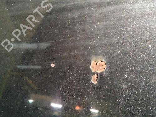 Motorhjelm VW PASSAT B6 (3C2) 1.9 TDI (105 hp) 29951866