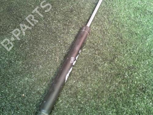 Tailgate lift support RENAULT CLIO II (BB_, CB_) 1.2 16V (BB05, BB0W, BB11, BB27, BB2T, BB2U, BB2V, CB05,... | BP30073637C138