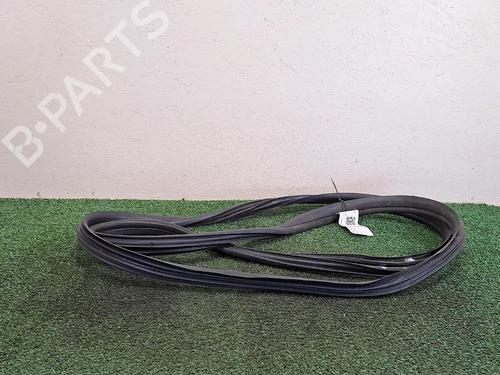 Used Rubber door seal FIAT SCUDO Van (270_, 272_) 2.0 D Multijet (128 hp) 29949119