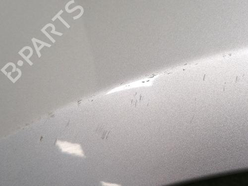 Używane Błotnik przedni lewy RENAULT CLIO III (BR0/1, CR0/1) 1.2 16V (BR02, BR0J, BR11, CR02, CR0J, CR11) (75 hp) 29948957