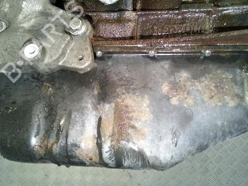 Engine RENAULT CLIO III (BR0/1, CR0/1) 1.2 16V Hi-Flex (BR1U, CR1U) | BP30063855M1 