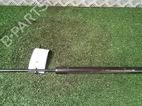 Used Tailgate lift support RENAULT SCÉNIC III (JZ0/1_) 1.9 dCi (JZ0J, JZ1J, JZ1K, JZ1S) (131 hp) 29951883