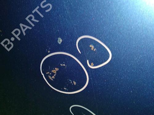 Motorhjelm FORD FOCUS II (DA_, HCP, DP) 1.8 TDCi | BP30064065C1