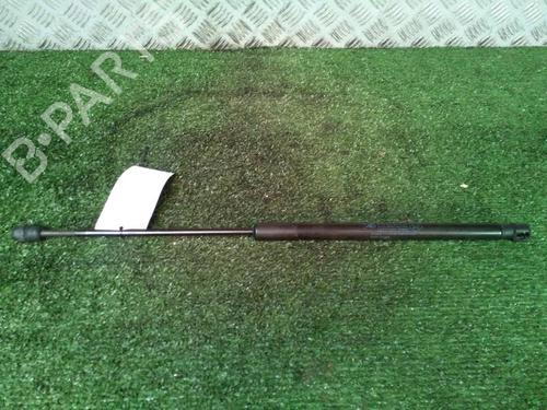 Tailgate lift support DACIA SANDERO 1.2 16V | BP30073794C138 