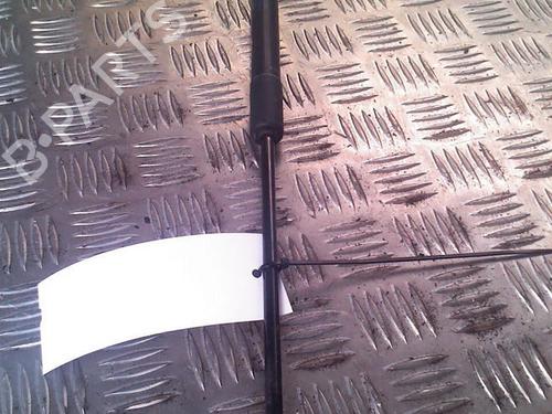 Used Tailgate lift support RENAULT CLIO III Grandtour (KR0/1_) 1.5 dCi (KR0G) (68 hp) 30075145