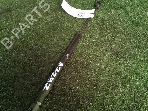 Used Tailgate lift support CITROËN C3 I (FC_, FN_) 1.4 i (73 hp) 22393439