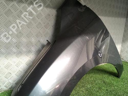 Left front fenders RENAULT MEGANE III Hatchback (BZ0/1_, B3_) 1.5 dCi | BP22393433C41 
