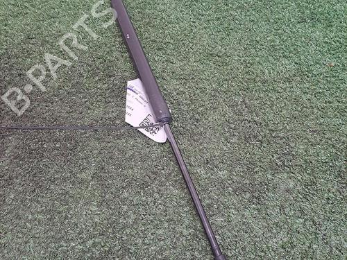 tailgate-lift-support-ds-ds-3-sa_-2015-2016-2017-2018-2019-29948226 main image