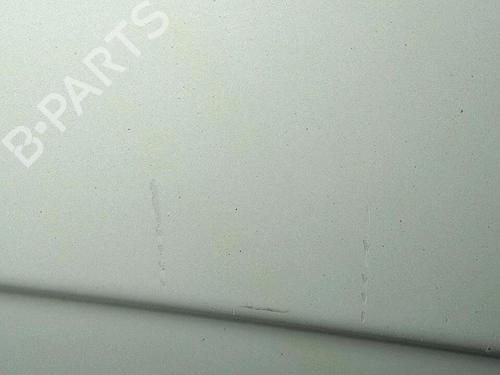 Right tailgate RENAULT KANGOO Express (FC0/1_) D 65 1.9 (FC0E, FC02, FC0J, FC0N) | BP30076623C77 