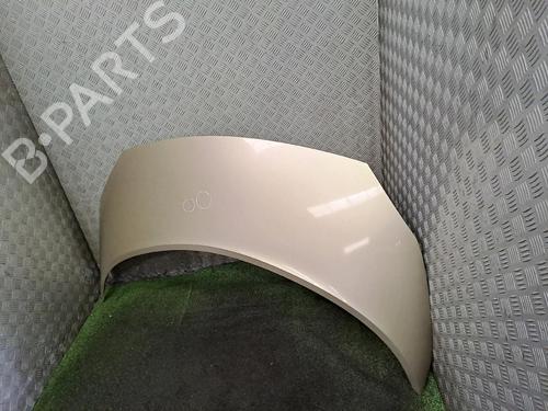 Used Hood RENAULT SCÉNIC II (JM0/1_) 1.5 dCi (JM1E, JM16) (106 hp) 20507515
