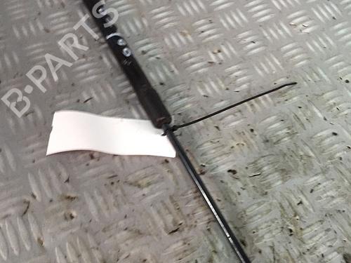 Used Tailgate lift support RENAULT MEGANE III Hatchback (BZ0/1_, B3_) 1.9 dCi (BZ0N, BZ0J) (131 hp) 30072470