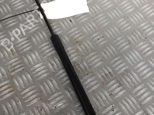 tailgate-lift-support-renault-twingo-ii-cn0_-2007-30072658 main image