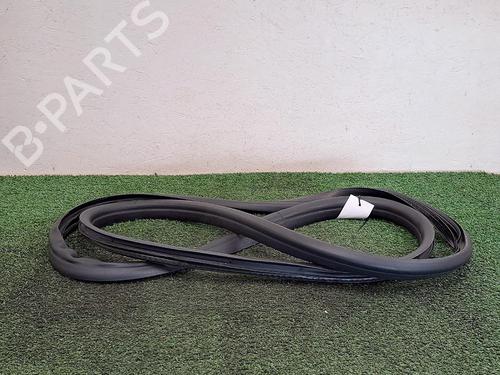 Gummiliste RENAULT CLIO V (B7_) 1.0 LPG (B7MT) (101 hp) 29949124