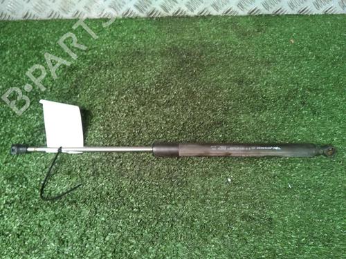 Tailgate lift support RENAULT CLIO III (BR0/1, CR0/1) 1.5 dCi (C/BR0G, C/BR1G) | BP17161911C138 