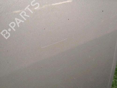 Left front door FIAT PUNTO EVO (199_) 1.3 D Multijet (199AXC1A, 199BXC1A, 199AXT1A, 199BXT1A) | BP30071425C2 