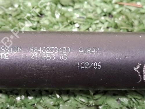 Used Tailgate lift support CITROËN C3 Pluriel (HB_) 1.4 HDi (68 hp) 29947801