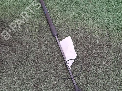 tailgate-lift-support-renault-clio-v-b7_-2019-29948616 main image