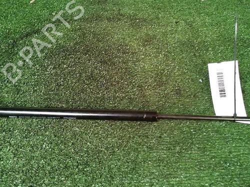 Gasdæmper bagklap RENAULT SCÉNIC II (JM0/1_) 1.5 dCi (JM1E, JM16) (106 hp) 30073819