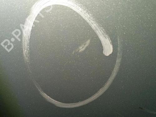 Left rear door RENAULT CLIO II (BB_, CB_)  | BP30076358C4 