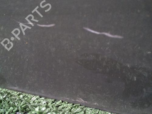 Right front door CITROËN XSARA PICASSO (N68) 1.6 HDi | BP29950664C3