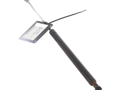 Gasdæmper bagklap FIAT PANDA (169_) 1.1 (169.AXA1A) (54 hp) 30520390