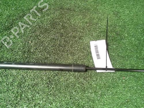 Tailgate lift support RENAULT SCÉNIC III (JZ0/1_) 1.9 dCi (JZ0J, JZ1J, JZ1K, JZ1S) | BP29951883C138 