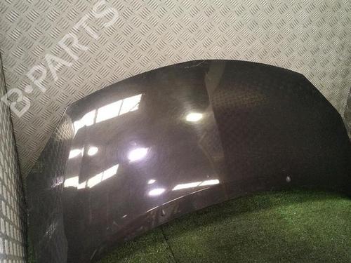 hood-renault-twingo-ii-cn0_-2007-29952939 main image